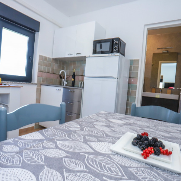 Cucina, Apartments Villa Irena, Appartamenti a Parenzo - Appartamento Tina con vasca idromassaggio e Appartamenti Villa Irena, Istria, Croazia Poreč