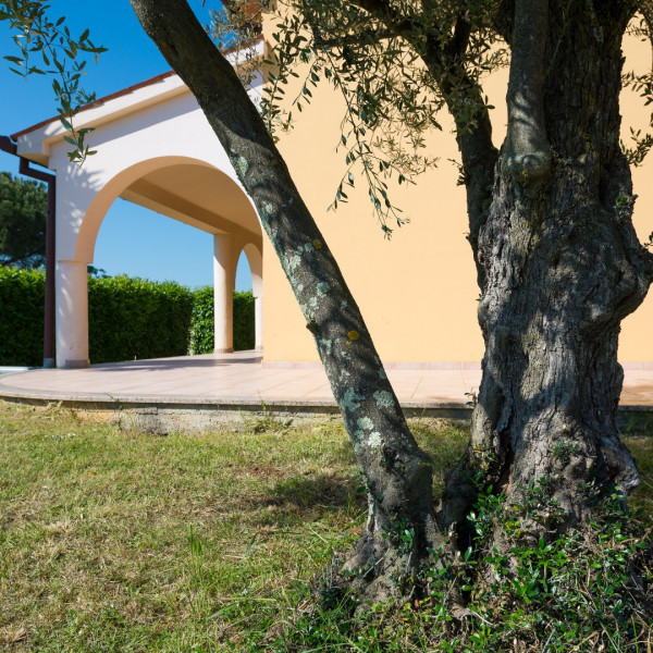 Apartments Villa Irena, Porec Apartments - Apartman Tina s jacuzzijem i Apartmani Villa Irena Poreč