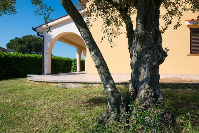 Eksterijer, Porec Apartments - Apartman Tina s jacuzzijem i Apartmani Villa Irena Poreč